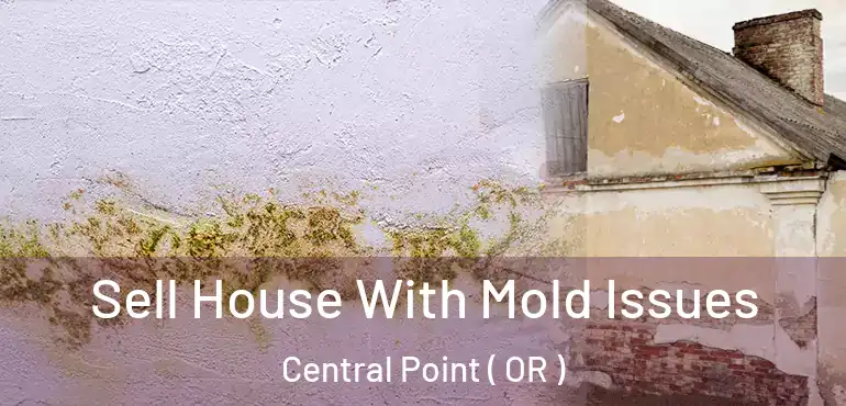  Sell House With Mold Issues Central Point ( OR )