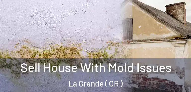  Sell House With Mold Issues La Grande ( OR )